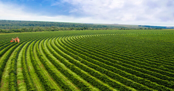 An Almanac to Agriculture