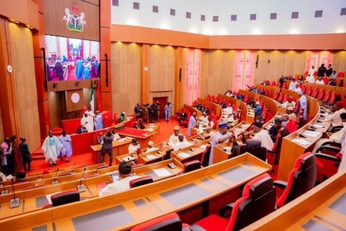 Senate finally reveals why real time was removed from Electoral Invoice