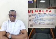 How NDLEA Arrested Infamous Drug Lord Wanted In UK After 15 Years On The Flee (Characterize) How NDLEA Arrested Infamous Drug Lord Wanted In UK After 15 Years On The Flee (Characterize)