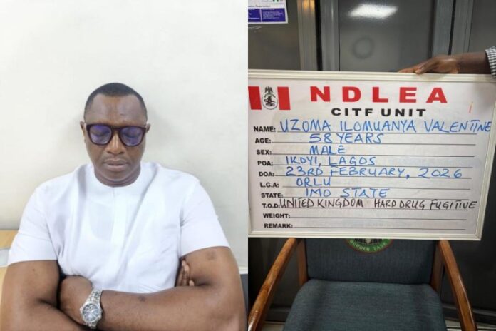 How NDLEA Arrested Infamous Drug Lord Wanted In UK After 15 Years On The Flee (Characterize)