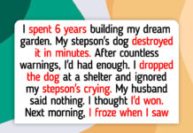 12 Moments That Educate Us Kindness Aloof Wins in the Finish 12 Moments That Educate Us Kindness Aloof Wins in the Finish