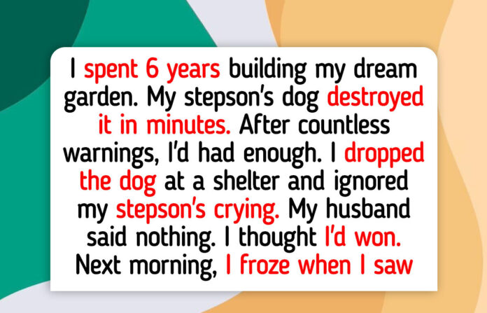 12 Moments That Educate Us Kindness Aloof Wins in the Finish