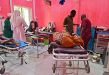 23 killed, 108 wounded in suspected suicide bombings in northeast Nigeria 23 killed, 108 wounded in suspected suicide bombings in northeast Nigeria