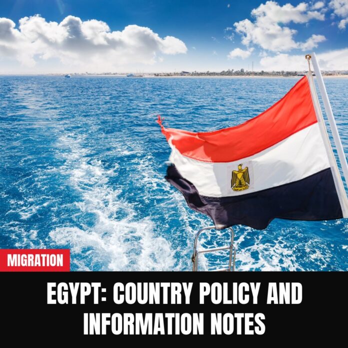 Egypt: country policy and information notes