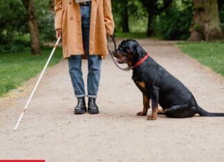 Find an Accredited Explosives Detection Dog Team Find an Accredited Explosives Detection Dog Team